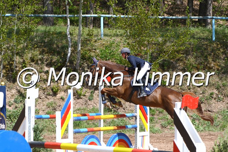 004M2066_Glamour Girl T_Punkte L m. Joker.JPG